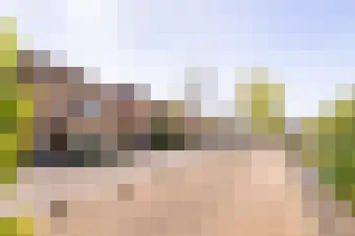 Aquarius 20 Born thumbnail 26