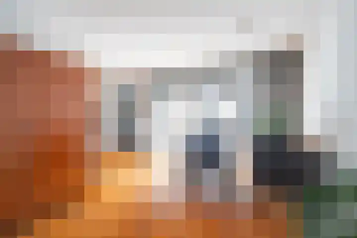 Aquarius 20 Born thumbnail 4