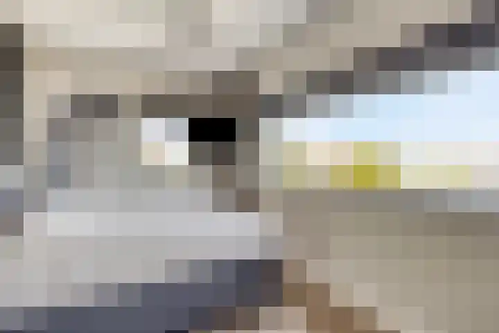 Aquasingel 7 Rosmalen thumbnail 23