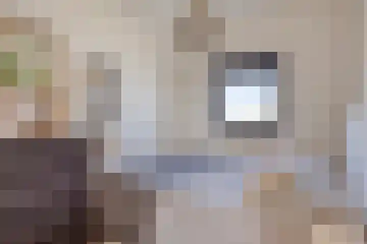 Aquasingel 7 Rosmalen thumbnail 31