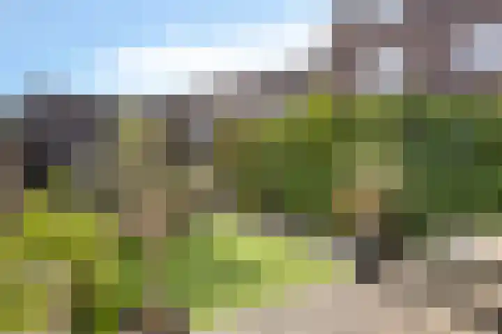 Aquasingel 7 Rosmalen thumbnail 9