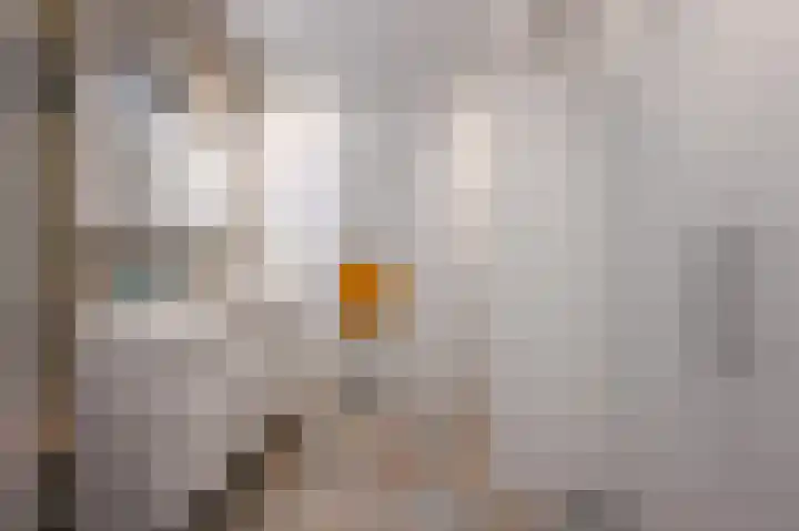 Arabislaan 84 Den Haag thumbnail 24
