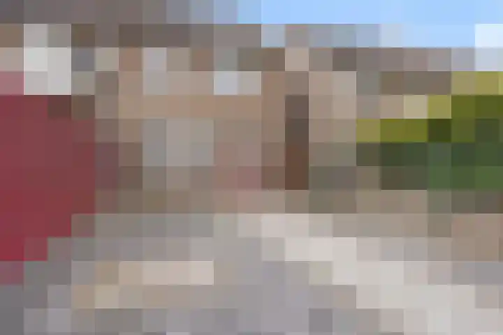 Aragorn 61 Geldrop thumbnail 25