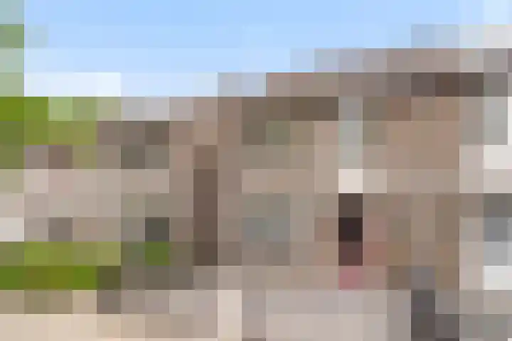 Aragorn 61 Geldrop thumbnail 26
