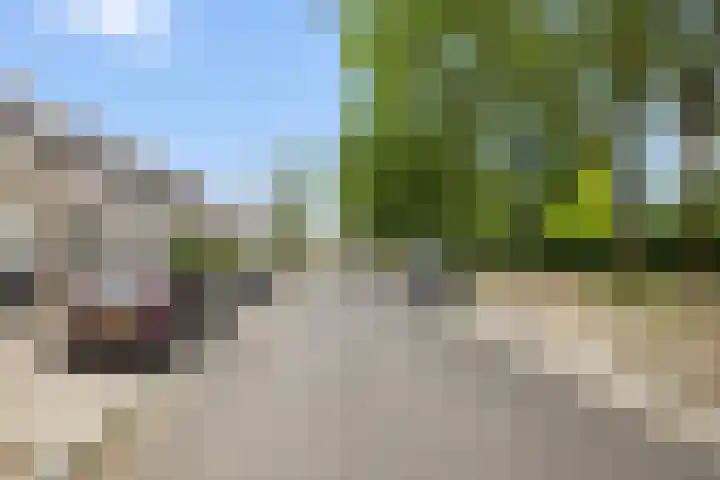 Aragorn 61 Geldrop thumbnail 27