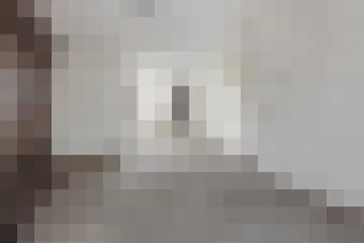 Aragorn 61 Geldrop thumbnail 5