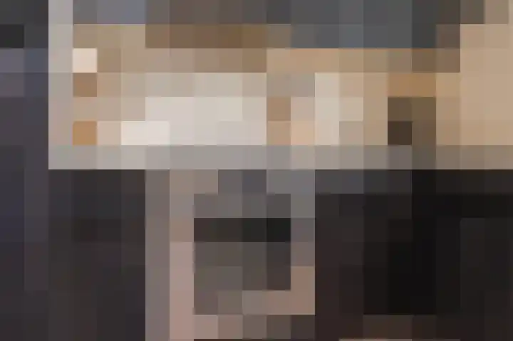 Aragorn 67 Geldrop thumbnail 17