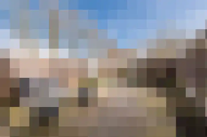 Aragorn 67 Geldrop thumbnail 38