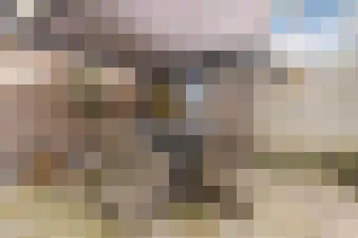 Aragorn 67 Geldrop thumbnail 40
