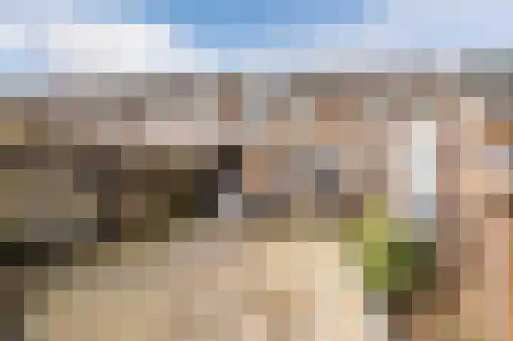 Aragorn 67 Geldrop thumbnail 41