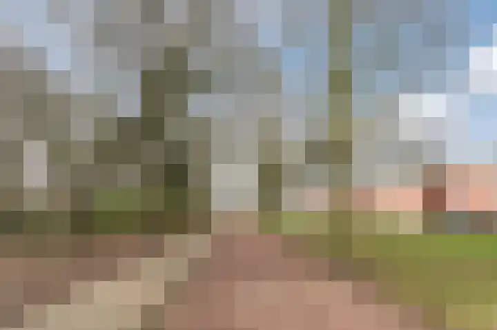Aragorn 67 Geldrop thumbnail 48