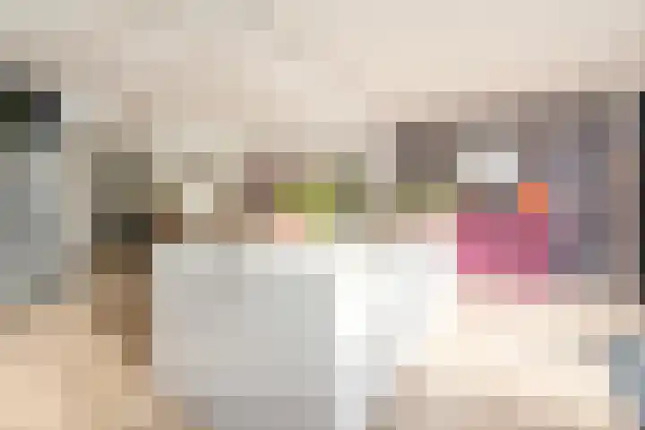 Araweg 14 Wassenaar thumbnail 15