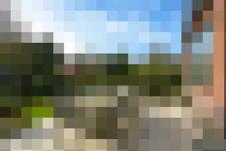 Araweg 14 Wassenaar thumbnail 17