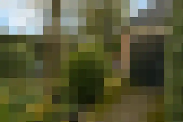 Araweg 14 Wassenaar thumbnail 19