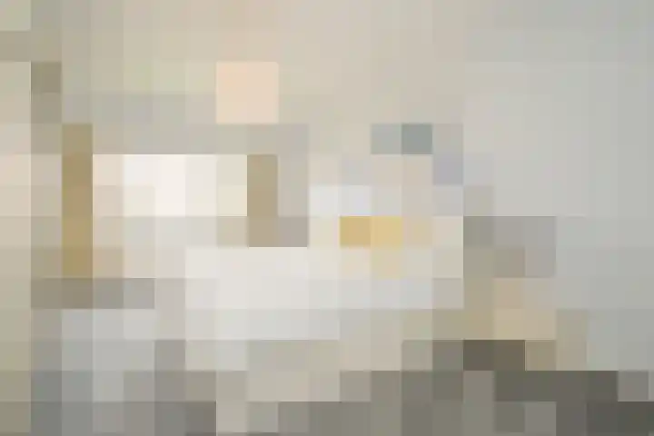 Araweg 14 Wassenaar thumbnail 22