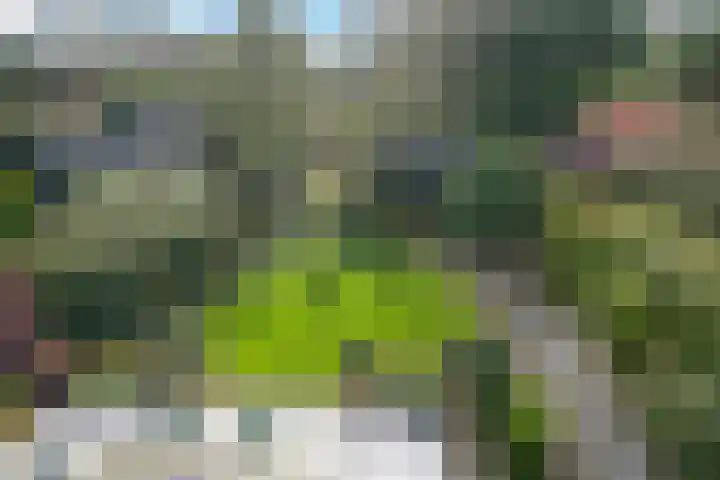 Araweg 14 Wassenaar thumbnail 25