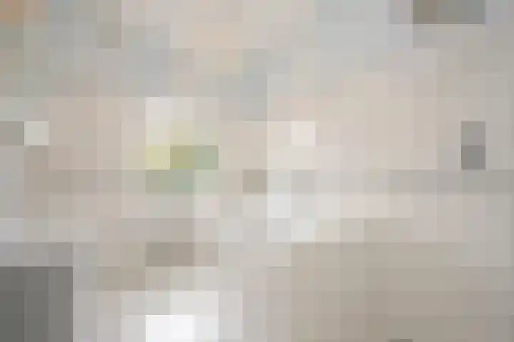Araweg 14 Wassenaar thumbnail 27