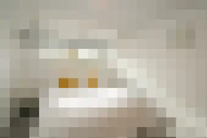 Araweg 14 Wassenaar thumbnail 30