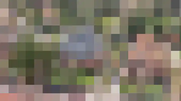 Araweg 14 Wassenaar thumbnail 34