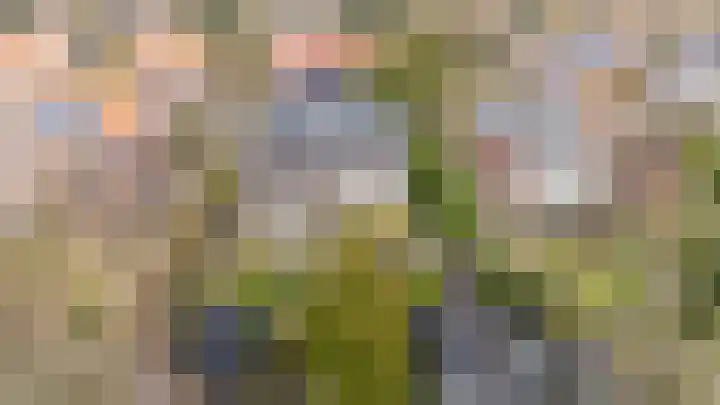 Araweg 14 Wassenaar thumbnail 35