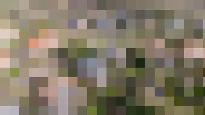 Araweg 14 Wassenaar thumbnail 36