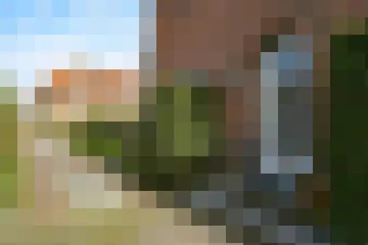 Araweg 14 Wassenaar thumbnail 6