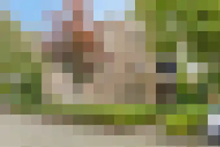 Archipel 17 17 56 Lelystad thumbnail 4