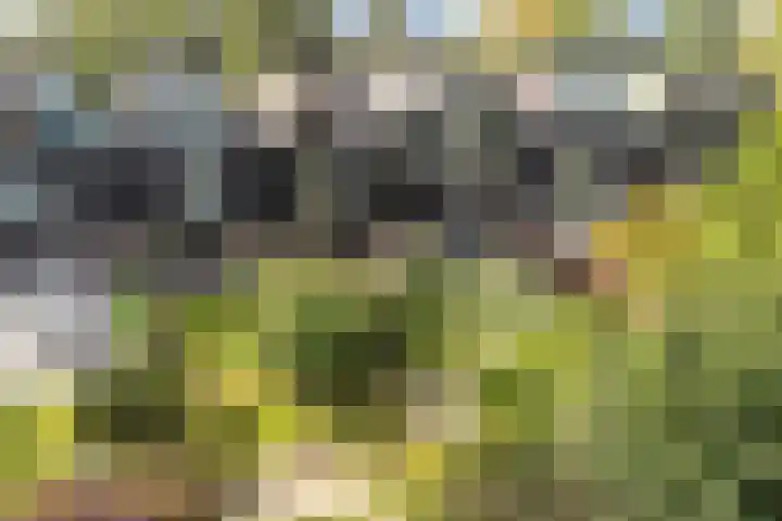 Archipel 23 23 37 Lelystad thumbnail 34