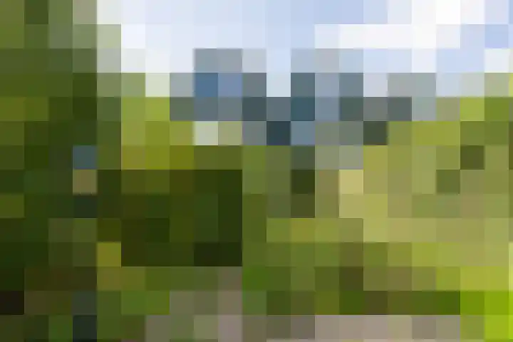 Archipel 23 23 37 Lelystad thumbnail 35