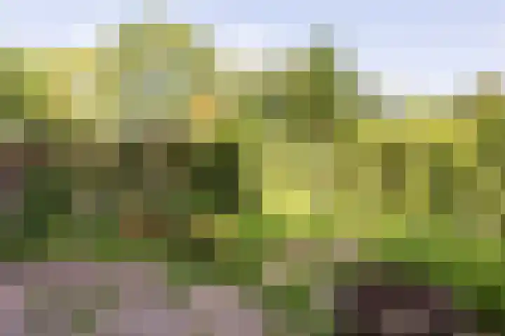 Archipel 23 23 37 Lelystad thumbnail 36