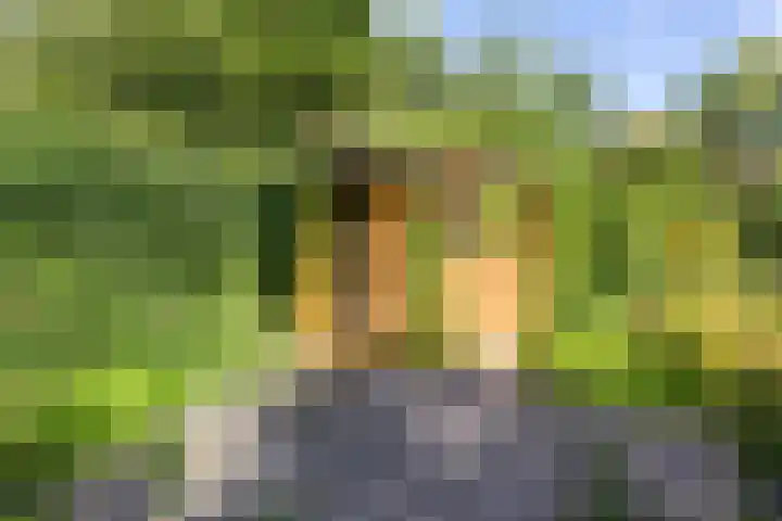 Archipel 23 23 37 Lelystad thumbnail 37