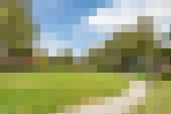 Archipel 23 23 37 Lelystad thumbnail 39
