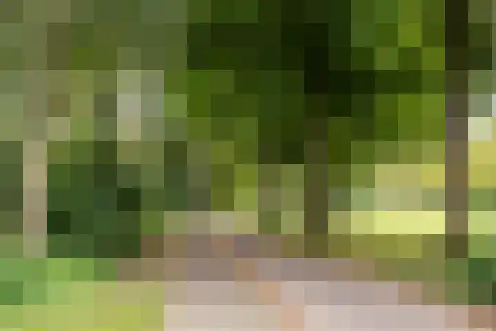 Archipel 23 23 37 Lelystad thumbnail 40