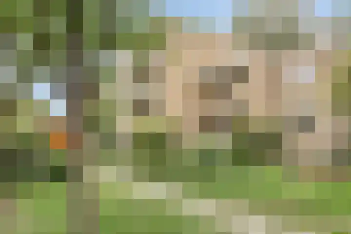Archipel 26 26 17 Lelystad thumbnail 22