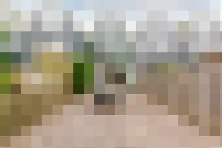 Archipel 45 45 45 Lelystad thumbnail 31