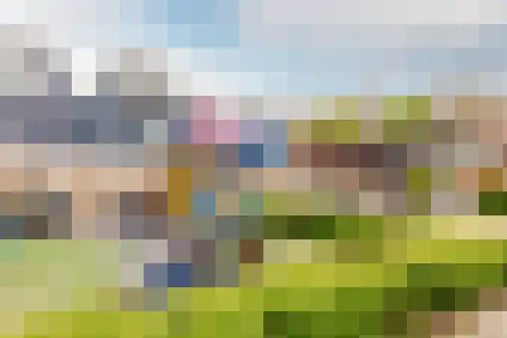 Archipel 45 45 45 Lelystad thumbnail 35