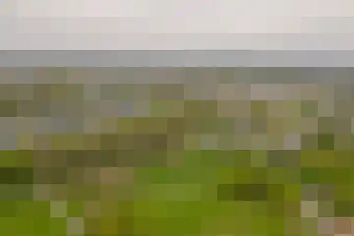 Archipel 45 45 45 Lelystad thumbnail 5