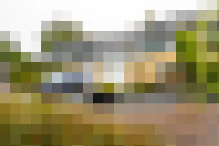 Archipel 45 45 67 Lelystad thumbnail 32