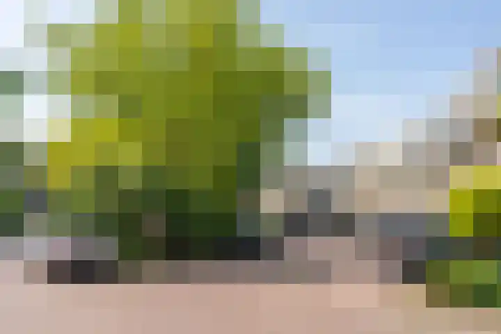 Ardennen 4 Leusden thumbnail 52