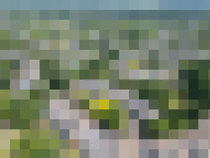Ardennen 4 Leusden thumbnail 54
