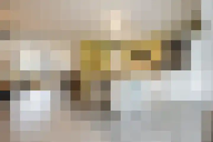 Arenberglaan 99 Breda thumbnail 12