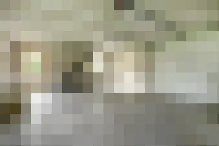 Arendlaan 34 Ermelo thumbnail 35