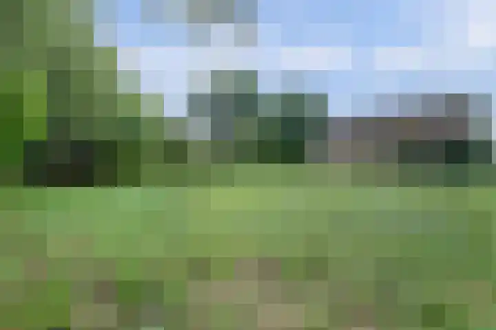 Arendlaan 34 Ermelo thumbnail 39