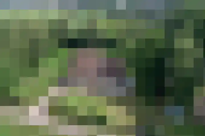Arendlaan 34 Ermelo thumbnail 40