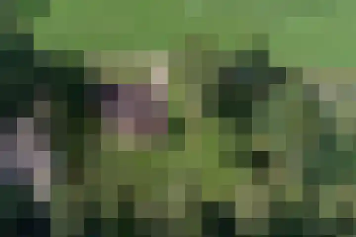 Arendlaan 34 Ermelo thumbnail 41