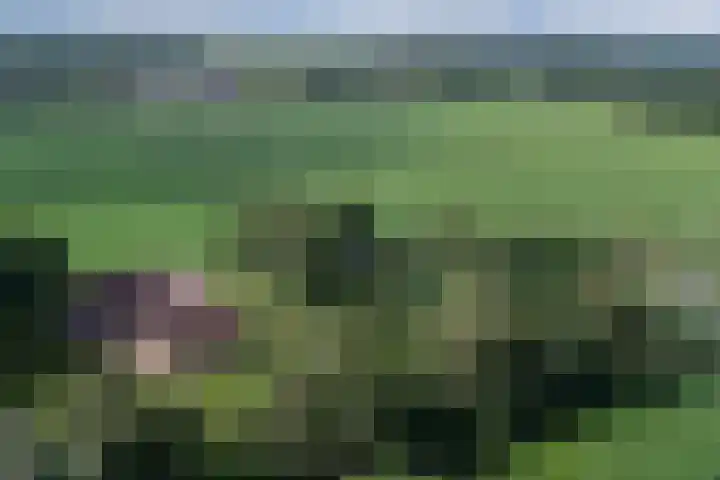 Arendlaan 34 Ermelo thumbnail 42