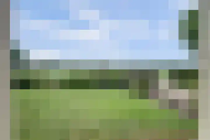 Arendlaan 34 Ermelo thumbnail 6