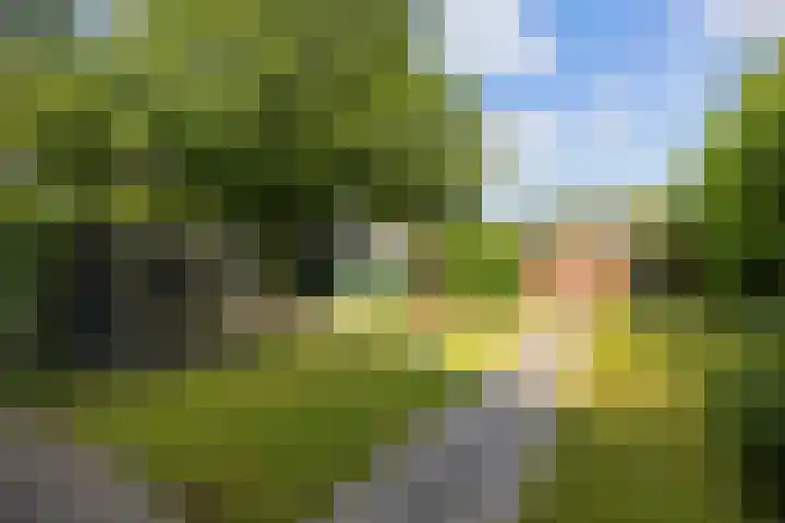 Arendlaan 50 Delft thumbnail 18