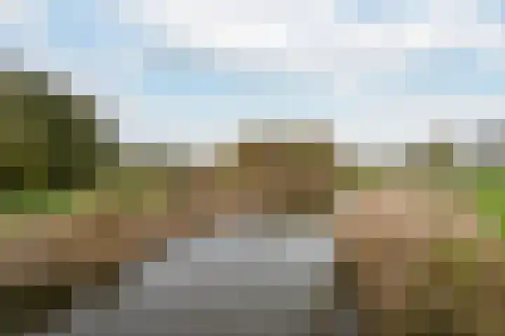 Arendlaan 50 Delft thumbnail 28