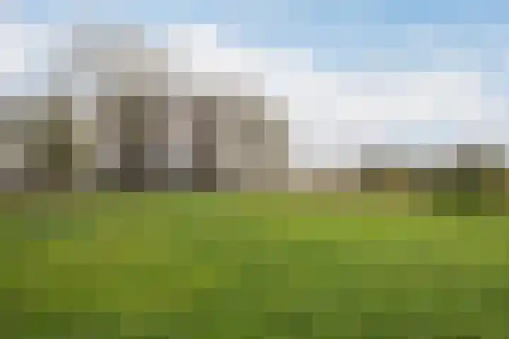 Arendlaan 50 Delft thumbnail 32